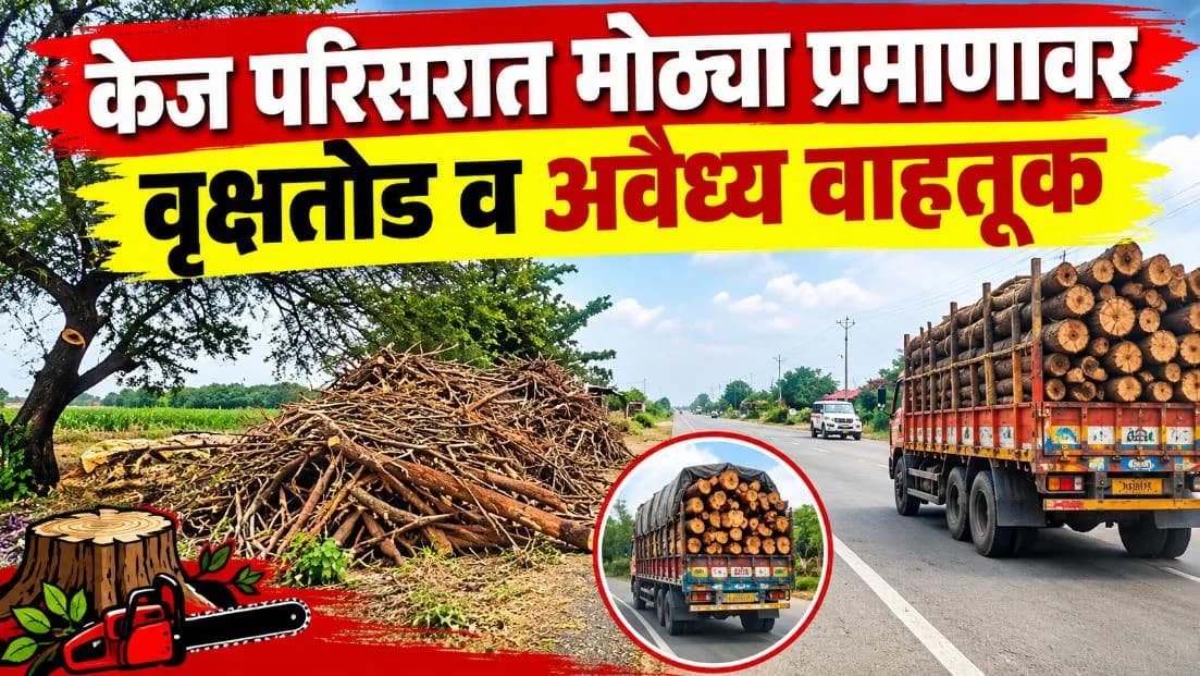 केज परिसरात मोठ्या प्रमाणावर वृक्षतोड व अवैध्य वाहतूक