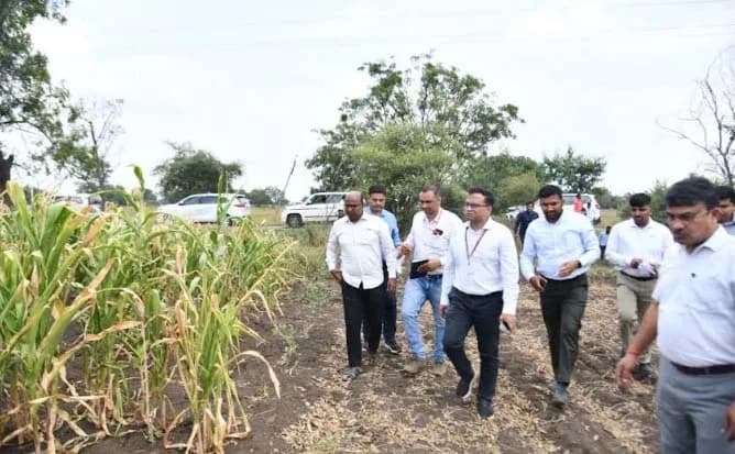 पावसाच्या प्रदीर्घ ओढीने बीड जिल्हा दुष्काळाच्या छायेत; केंद्रीय पथकासमोर शेतकऱ्यांनी मांडले भीषण वास्तव