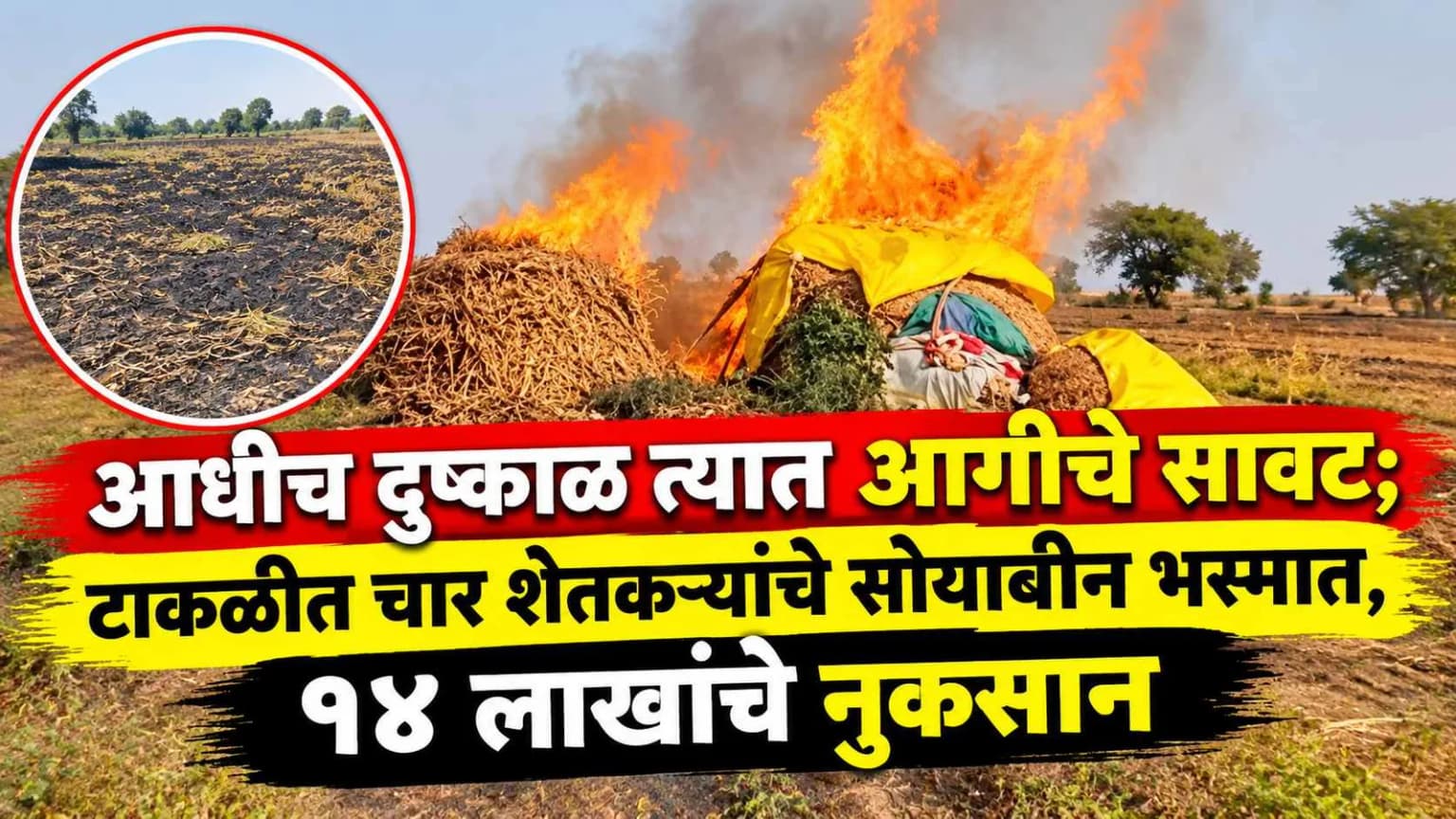 आधीच दुष्काळ त्यात आगीचे सावट; टाकळीत चार शेतकऱ्यांचे सोयाबीन भस्मात, १४ लाखांचे नुकसान