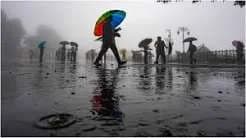 बीड जिल्ह्यात २० ऑक्टोबरला विजांच्या कडकडाटासह पावसाचा इशारा; शेतकऱ्यांसाठी सतर्कतेचा सल्ला