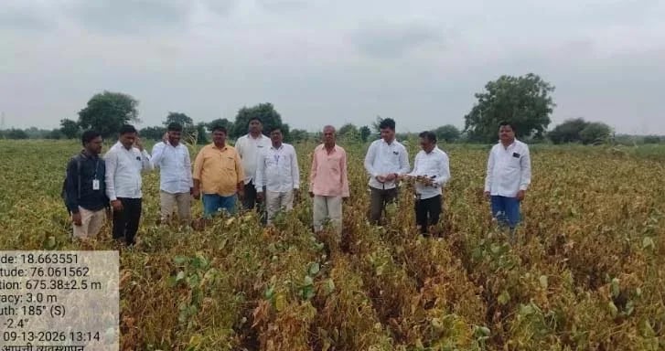 केज तालुक्यात दुष्काळाची भीषणता: पावसाअभावी खरीप पिके उद्ध्वस्त, उत्पादनात ८५ टक्के घटीचा प्राथमिक अंदाज