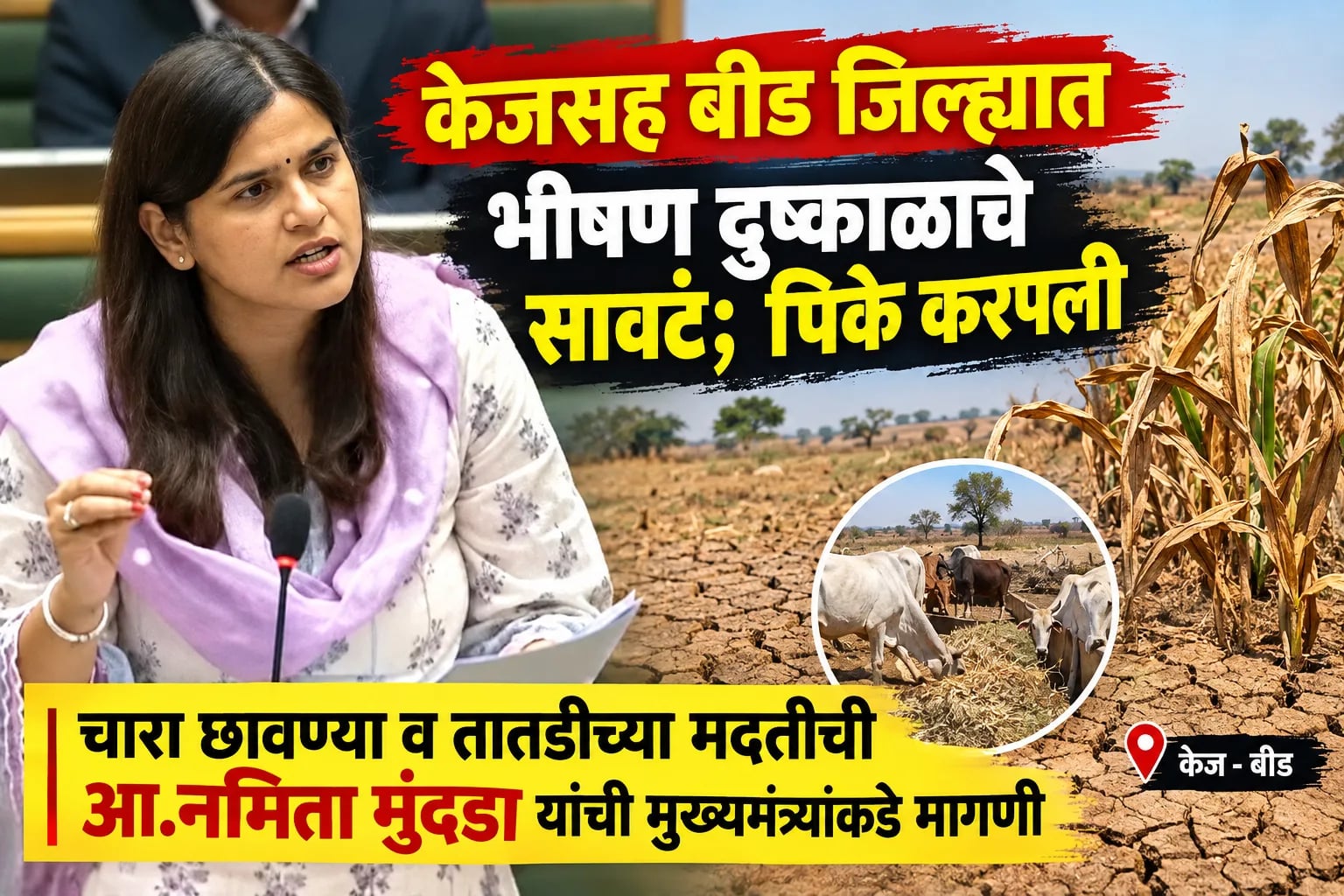 केजसह बीड जिल्ह्यात भीषण दुष्काळाचे सावट; पिके करपली