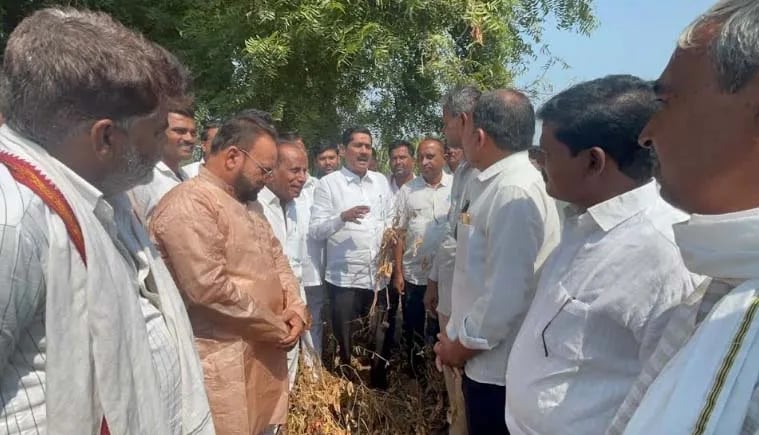 खा. बजरंग सोनवणे यांच्याकडून नुकसानग्रस्त पिकांची थेट बांधावर पाहणी; तातडीने शासकीय मदतीची ग्वाही