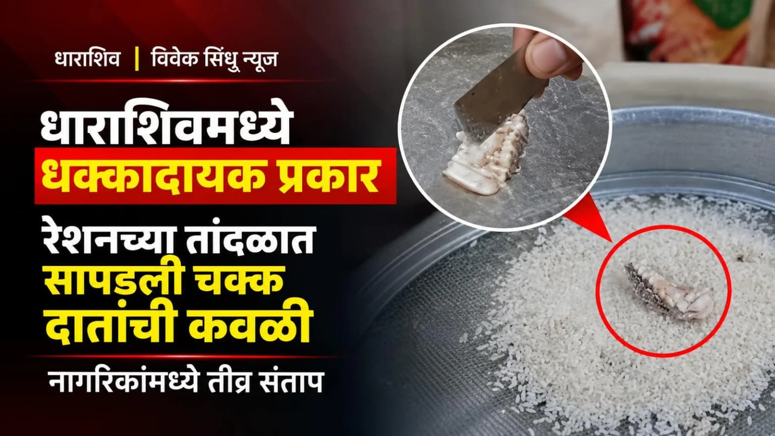 धाराशिवमध्ये धक्कादायक प्रकार; रेशनच्या तांदळात सापडली चक्क दातांची कवळी, नागरिकांमध्ये तीव्र संताप