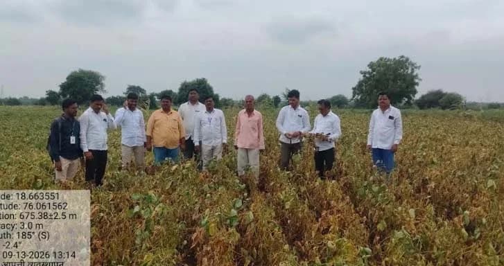 केज तालुक्यात दुष्काळाची भीषणता: पावसाअभावी खरीप पिके उद्ध्वस्त, उत्पादनात ८५ टक्के घटीचा प्राथमिक अंदाज