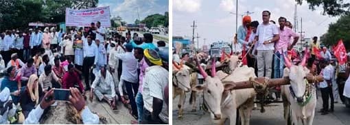 दुष्काळ जाहीर करून हेक्टरी ५० हजारांची मदत द्या; शेकापचा केज तहसीलवर विराट बैलगाडी मोर्चा