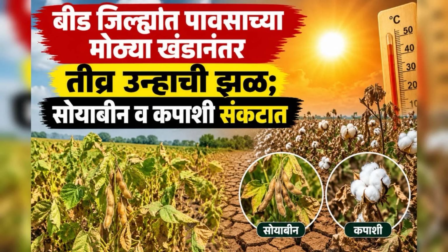 बीड जिल्ह्यात पावसाच्या मोठ्या खंडानंतर तीव्र उन्हाची झळ