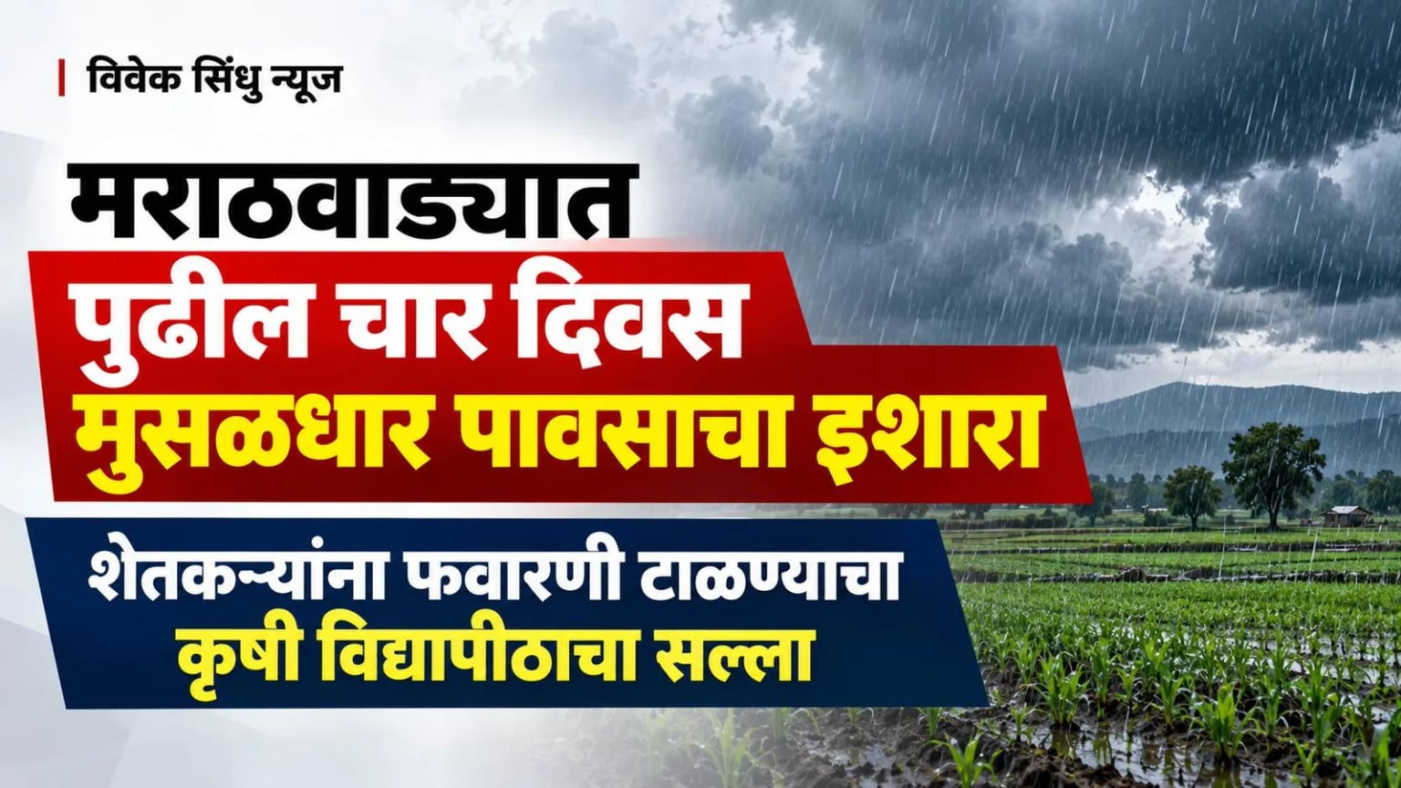 मराठवाड्यात पुढील चार दिवस मुसळधार पावसाचा इशारा; शेतकऱ्यांना फवारणी टाळण्याचा कृषी विद्यापीठाचा सल्ला