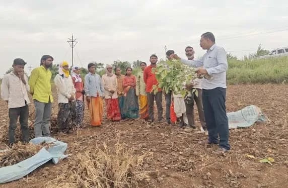 वरवटी येथे सोयाबीन कापणी, मळणी, साठवणूक प्रशिक्षण