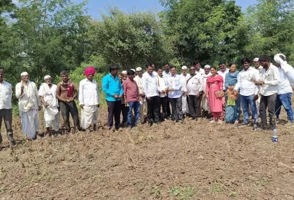 टाकळी शिवारात तहसीलदारांकडून पीक नुकसानीची पाहणी