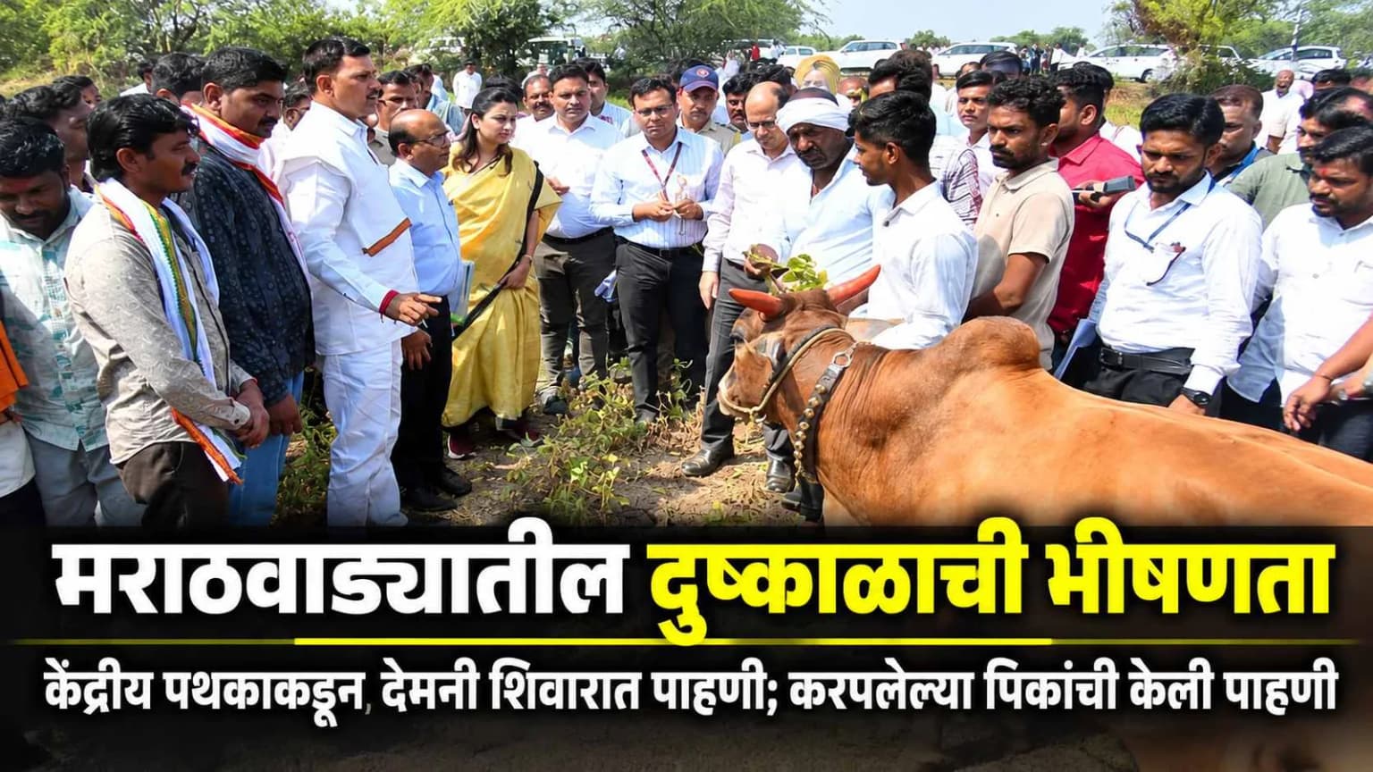 मराठवाड्यातील दुष्काळाची भीषणता : केंद्रीय पथकाकडून देमनी शिवारात पाहणी, करपलेल्या पिकांची केली पाहणी