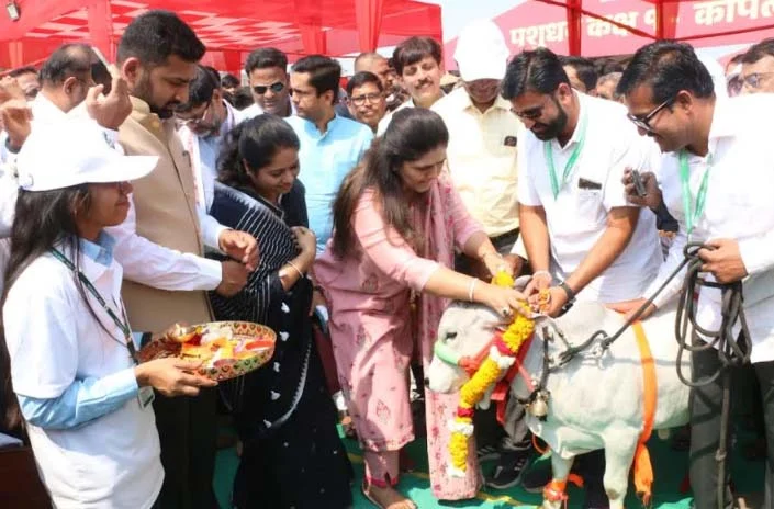 ग्रामीण भागात उद्योजक घडावेत यासाठी पशुपालनाला कृषी चा दर्जा  – पशुसंवर्धन मंत्री पंकजा मुंडे