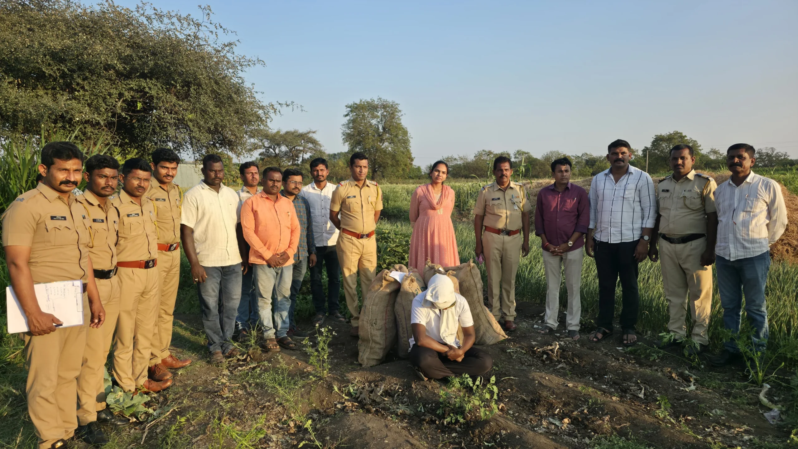 पिंपळनेरमध्ये कांद्याच्या आड अफूची बेकायदेशीर शेती; पोलिसांच्या छाप्यात १०.५८ लाखांचा मुद्देमाल जप्त