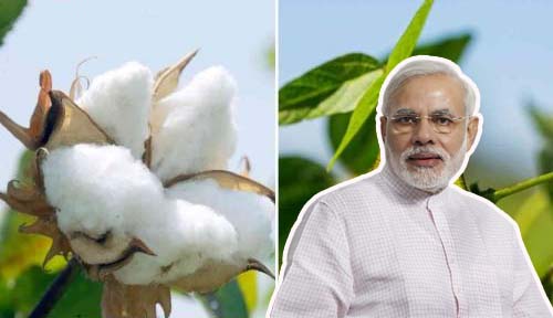 सोयाबीन व कापसासह खरीप पिकांच्या किमान आधारभूत किमतीत वाढ – शेतकऱ्यांना दिलासा