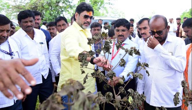 परळी तालुक्यातील तेलसमुख, बोरखेड, ममदापूर आदी गावांत धनंजय मुंडे यांनी केली नुकसानीची पाहणी