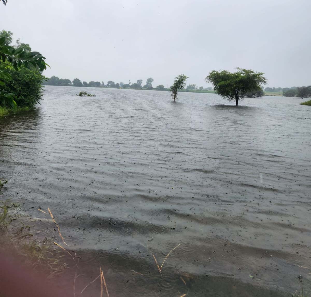 तलावाचा सांडवा फोडल्याने जोला गावावरील संकट टळले
