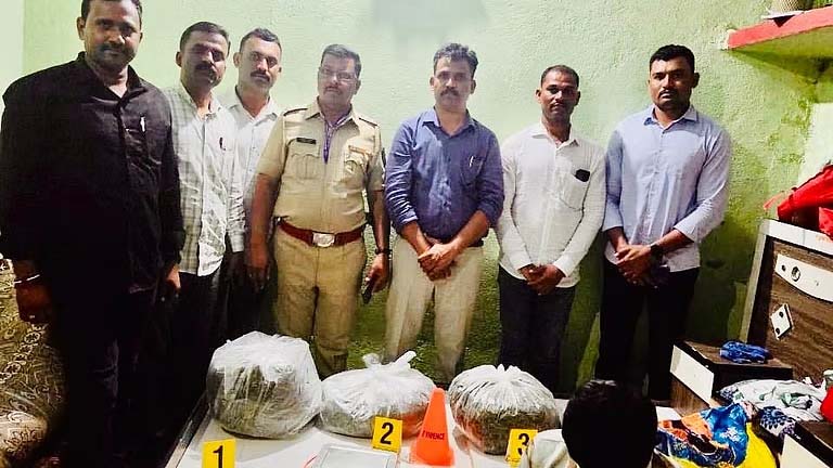 घाटनांदूर येथे १२ किलो गांजा जप्त, एकाला अटक