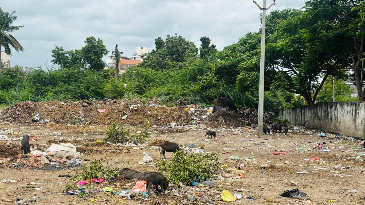 उर्दू, मराठी शाळांजवळच नगर परिषदेचा कचरा डेपो