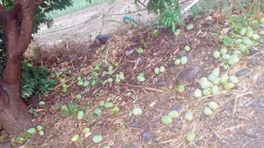 केज तालुक्यात विजेच्या कडकडाटासह अवकाळी पावसाचे तांडव