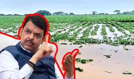 पीक नुकसानीसाठी 2,215 कोटींची मदत मंजूर