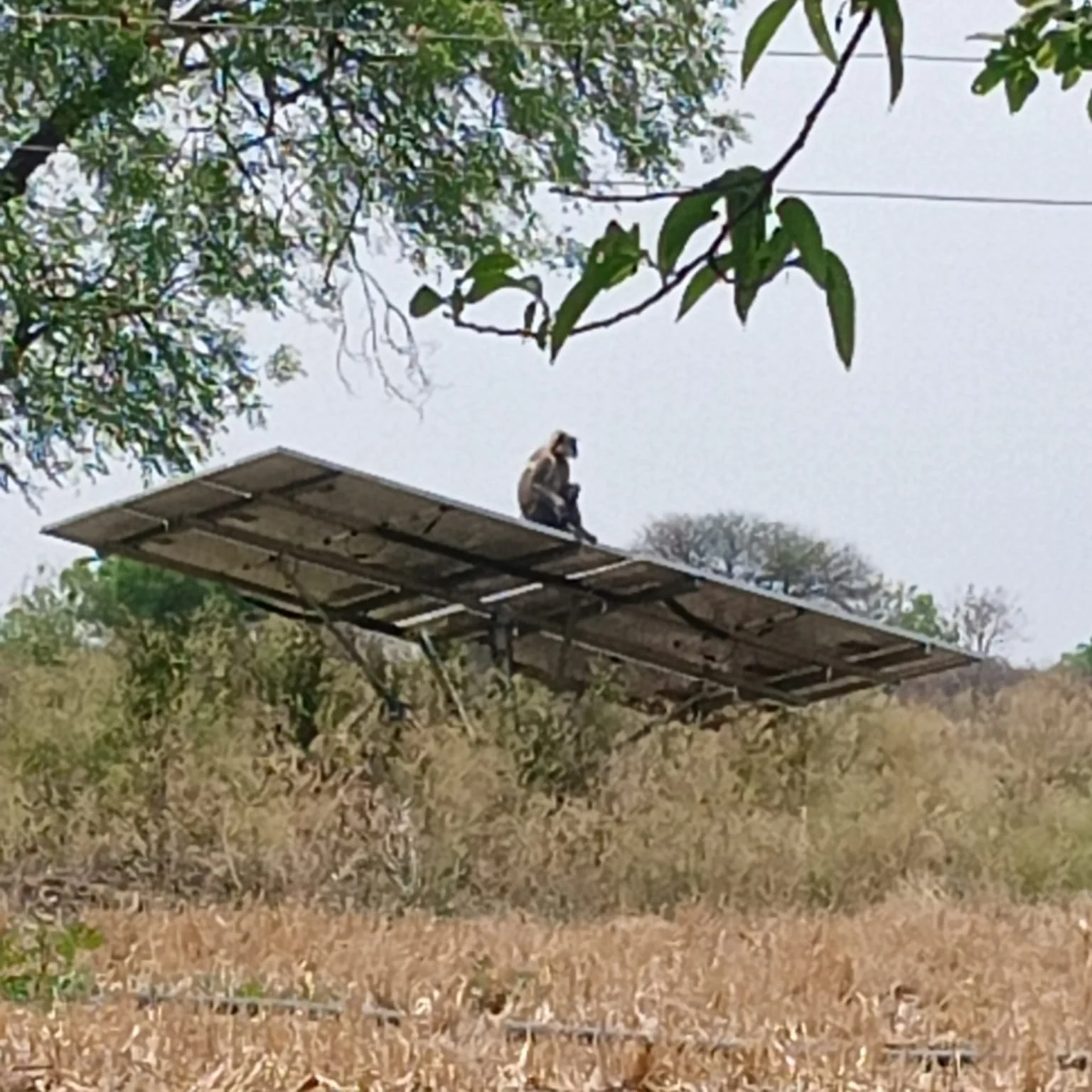 लाखोंच्या नुकसानीची भीती