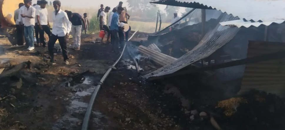 चिंचोली माळीत शॉटसर्किटने आग लागून आगीत कुत्रा, वासरू मरण पावले