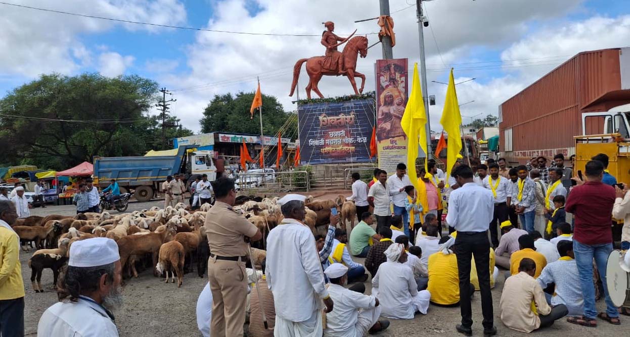 धनगर समाज बांधव मेंढ्या घेऊन रस्त्यावर ; अर्धा तास केला रास्ता रोको