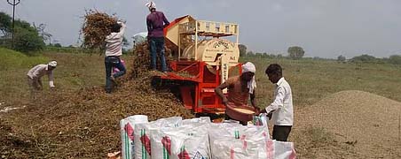 काढलेल्या सोयाबीनची यंत्राच्या साह्याने मळणी; शेतकर्‍यांना अतिवृष्टीचा फटका