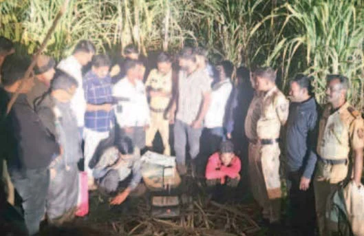 सिमेंटच्या गोणीतून गांज्याची तस्करी; दोघे ताब्यात