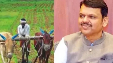 राज्य सरकारने थकीत शेतकरी कर्जदारांचा डेटा मागवला