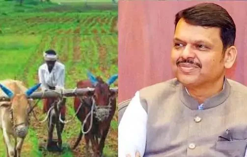 राज्य सरकारने थकीत शेतकरी कर्जदारांचा डेटा मागवला