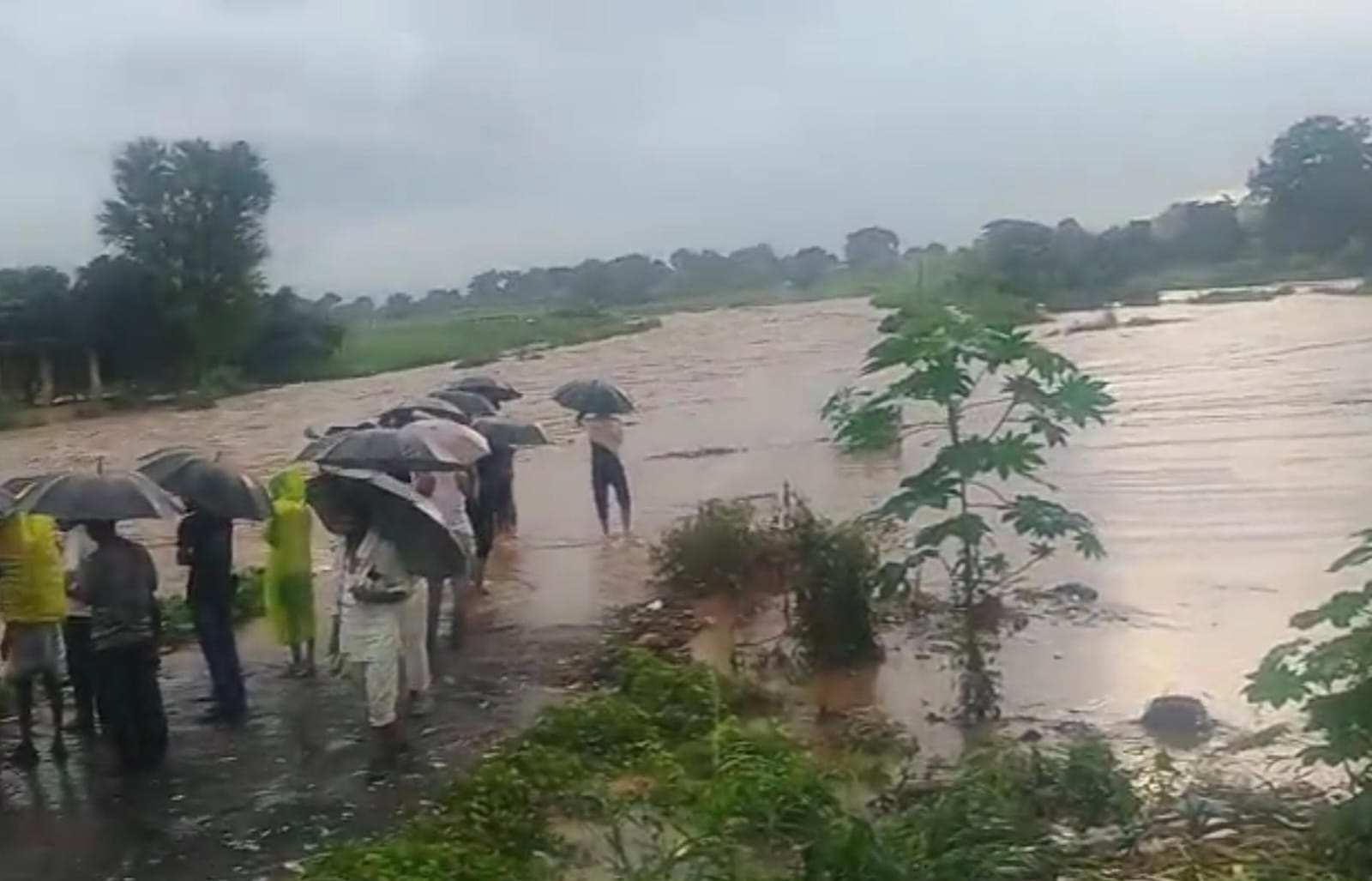 अंबाजोगाई तालुक्याला मुसळधार पावसाचा तडाखा