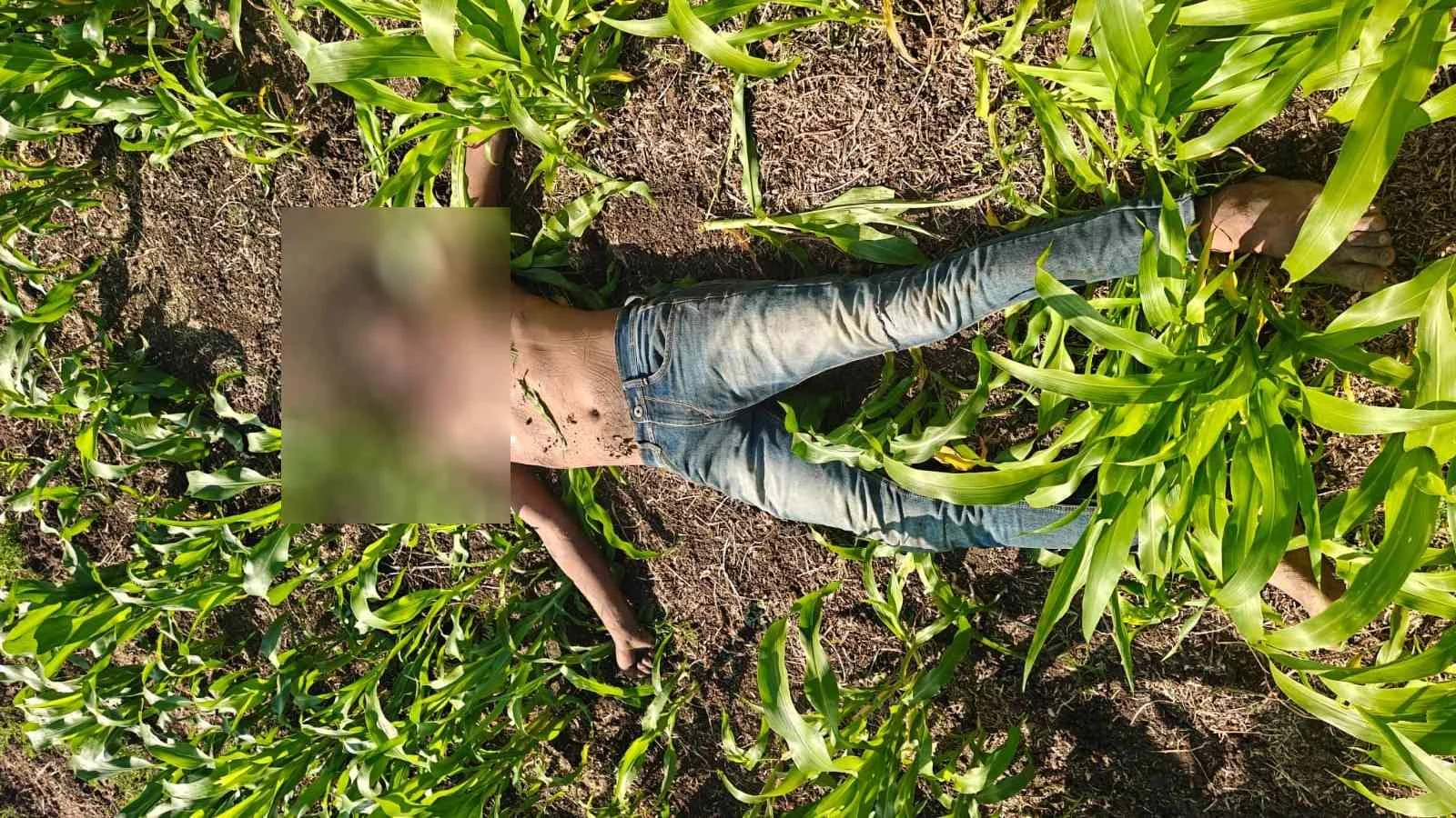 WhatsApp Image 2025 12 19 at 19.30.46 f9bd34aa