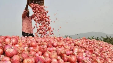 इराण-इस्रायल युद्धाची बीडच्या कांदा उत्पादक शेतकऱ्यांना झळ