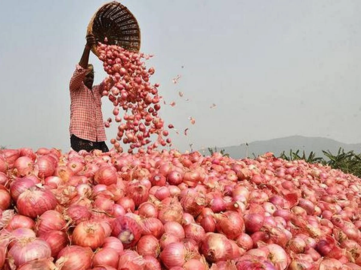 इराण-इस्रायल युद्धाची बीडच्या कांदा उत्पादक शेतकऱ्यांना झळ