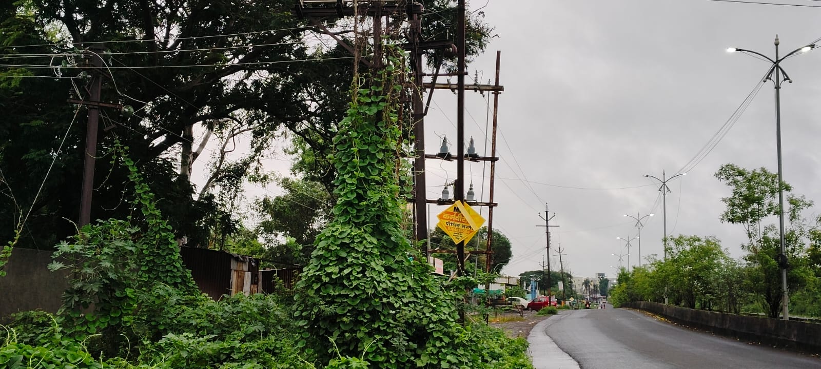 मानसूनपूर्व कामांकडे महावितरणचे दुर्लक्ष