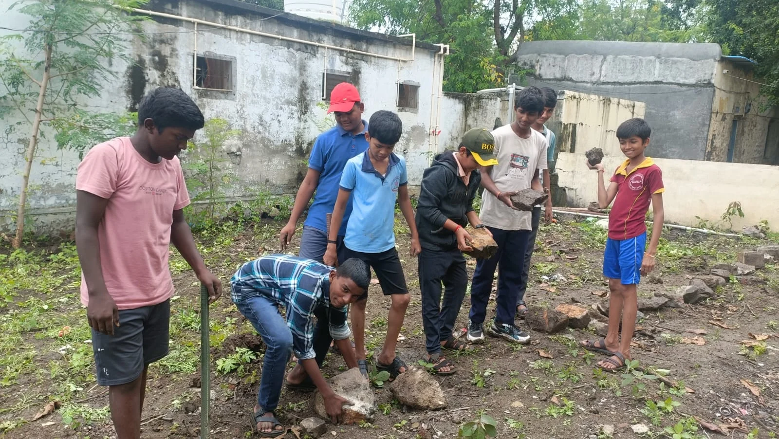 दररोजच्या आहारात सेंद्रिय, ताजी 'रानभाजी'