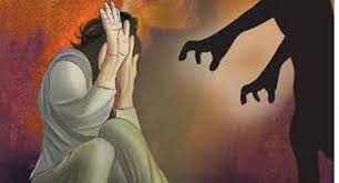 अल्पवयीन मेव्हणीचा विनयभंग ; बहिणीच्या पतीविरुद्ध गुन्हा