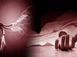 शेतात सावलीसाठी उभारलेल्या मंडपात उतरला करंट; महिलेचा जागीच मृत्यू, तिघे गंभीर जखमी