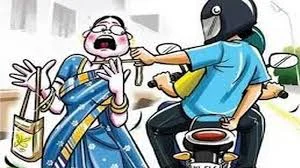 महिलेचे मंगळसूत्र लांबवले; तोंडाला मास्क लावून आलेल्या चोरट्यांचा प्रताप