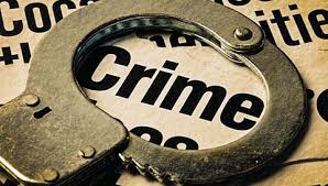 डोळ्यात चटणी टाकून महिलेचा विनयभंग ; पीडितेसह नातेवाईकांना मारहाण