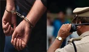 पिकअपमधून म्हैस चोरणारी टोळी जेरबंद; दोघांना अटक, ६५ हजारांचा मुद्देमाल जप्त