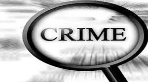 आईला शिवीगाळ का दिली? विचारल्याच्या रागातून विटेने जीवघेणा हल्ला