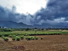 बीड जिल्ह्यात मान्सूनचे आगमन जूनच्या तिसऱ्या आठवड्यात होण्याची शक्यता; सध्या पूर्वमॉन्सून पावसाचा अंदाज