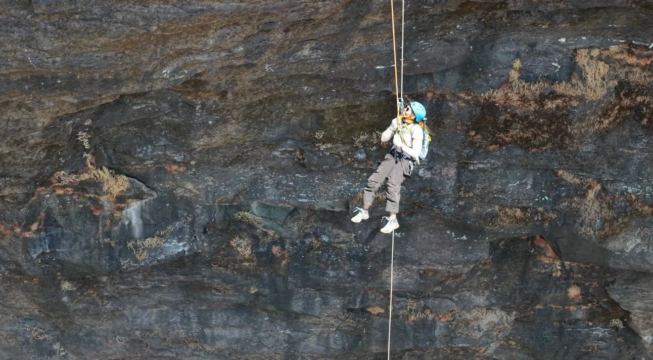 img 20260318 wa00196233374301401076950